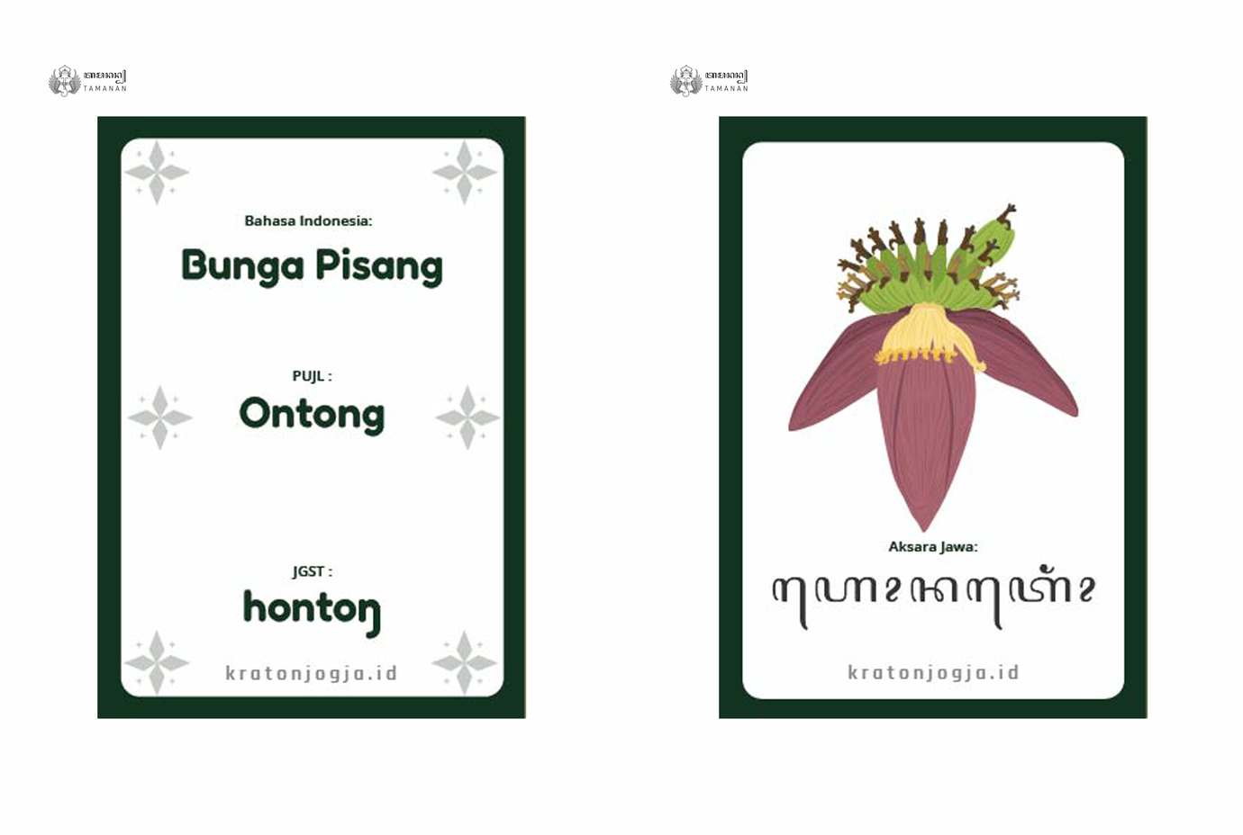 Pisang 05 Small