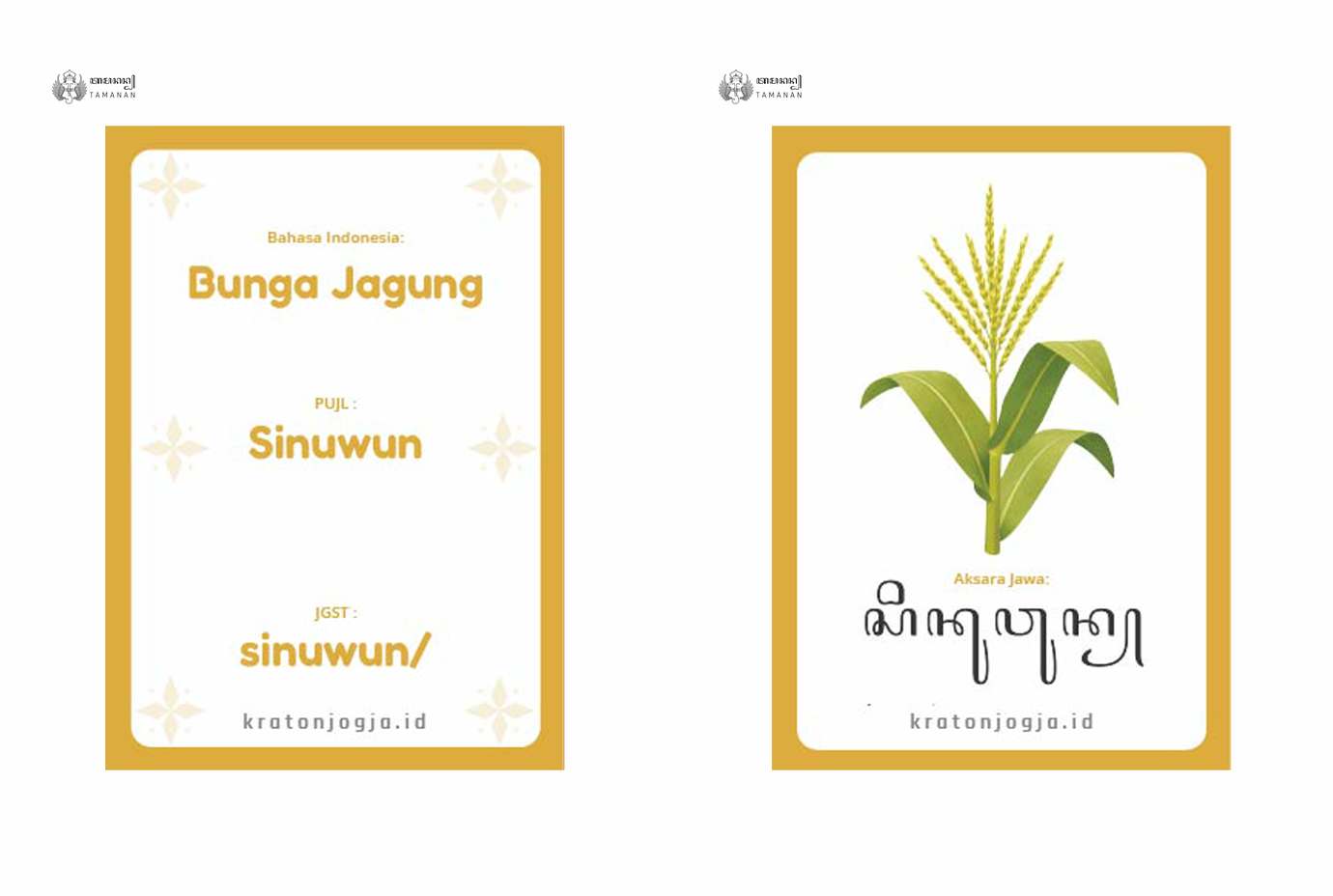 Jagung 03 Small