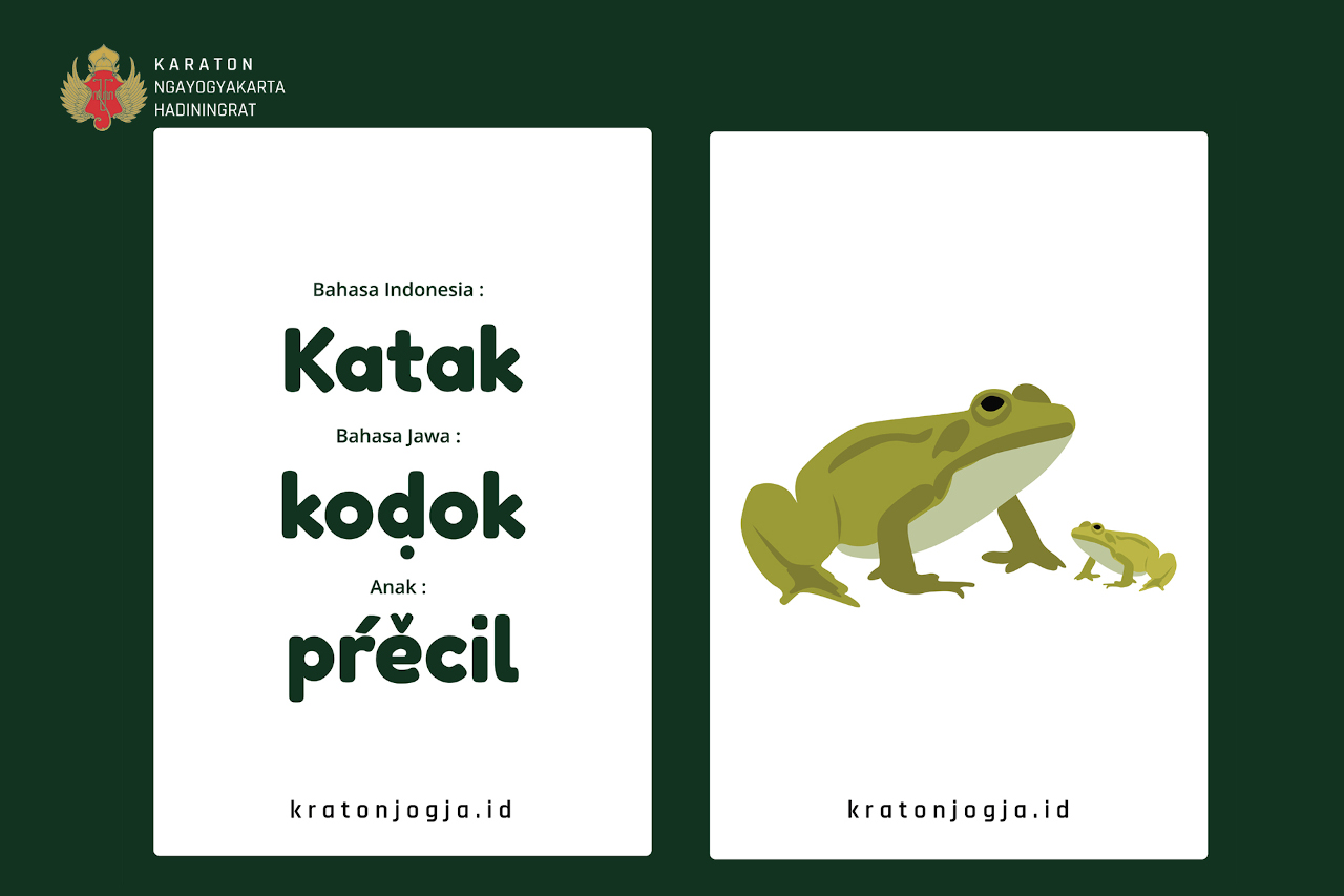 Kartu Begarmbar Hewan